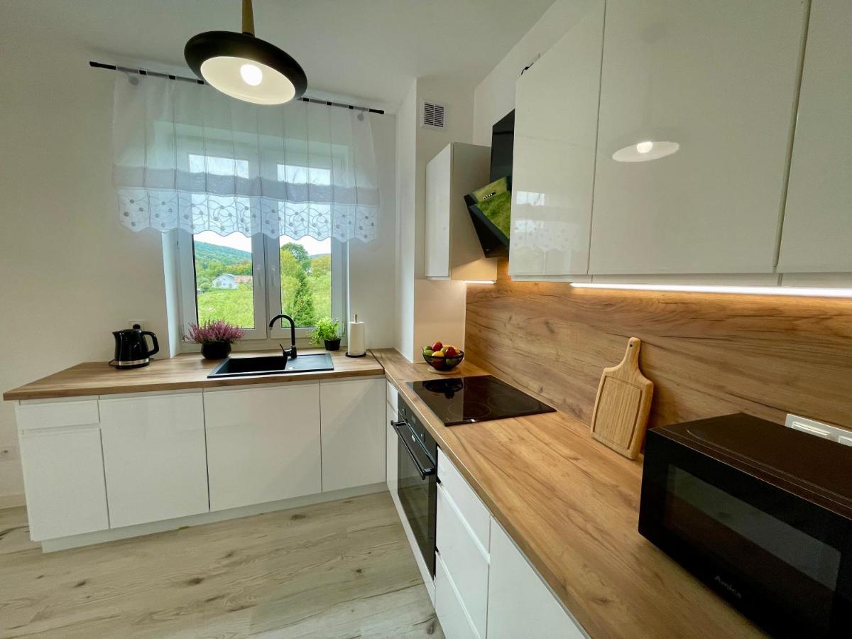 Apartament Jak Marzenie Ustrzyki Dolne Εξωτερικό φωτογραφία